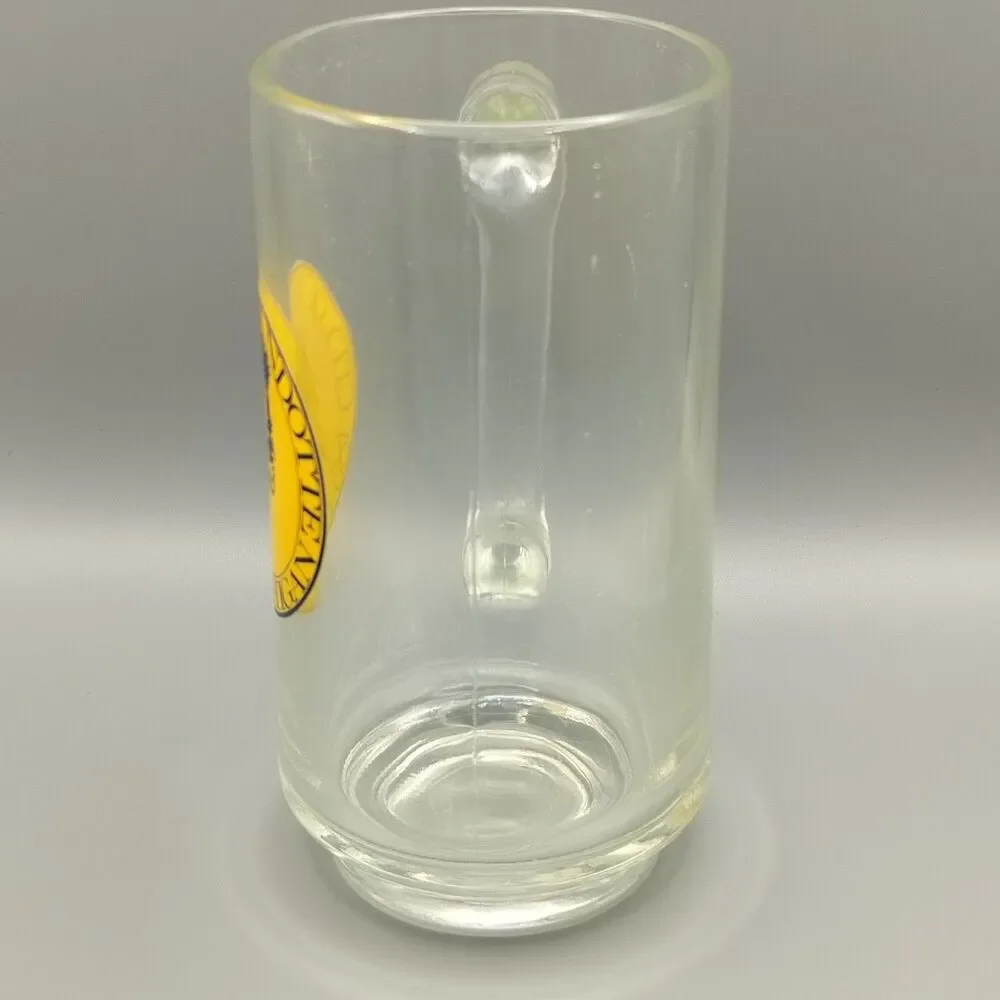 Wyandotte Michigan 1854 City Seal Glass Beer Mug 5.5” Vintage Souvenir